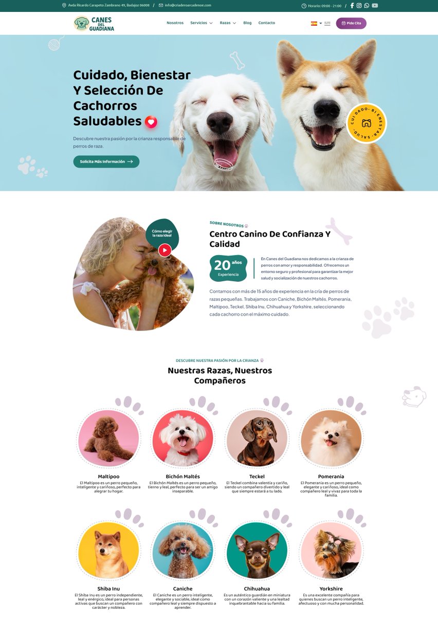 bittacora tweet media