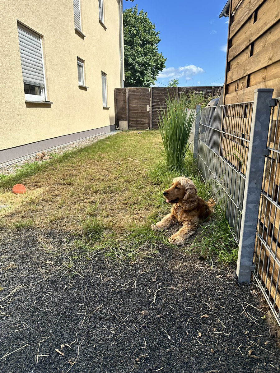 Mein neues Reich ab Dienstag 🤩
#twitterrudel