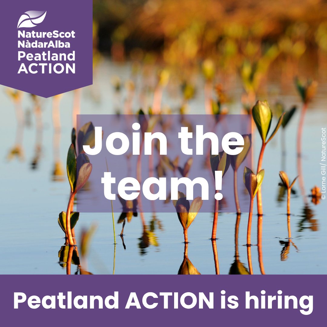 Peatland ACTION (@peatlandaction) on Twitter photo Peatland ACTION is #hiring!
Check out the latest roles available within the <a href="/NatureScot/">NatureScot</a> <a href="/PeatlandACTION/">Peatland ACTION</a> team:
🔹Programme Support
🔸Programme Officer - Governance and Project Management
🔹Assistant Accountant
Find all the details and closing dates here: t.ly/PV6lA Peatland ACTION is #hiring!
Check out the latest roles available within the <a href="/NatureScot/">NatureScot</a> <a href="/PeatlandACTION/">Peatland ACTION</a> team:
🔹Programme Support
🔸Programme Officer - Governance and Project Management
🔹Assistant Accountant
Find all the details and closing dates here: t.ly/PV6lA