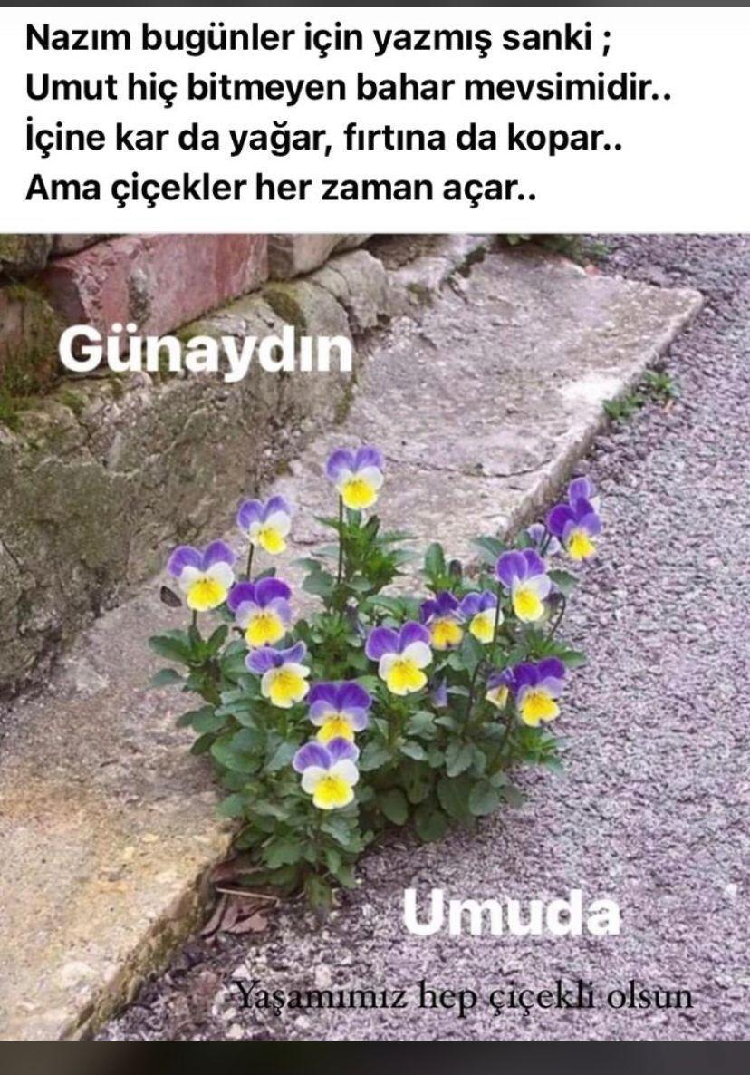 Günaydın güzel bir gün dileğiyle..