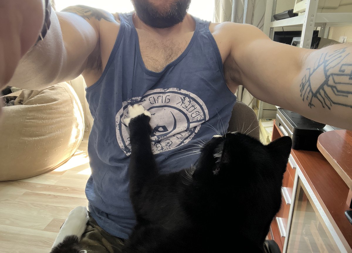 Показываю кота!