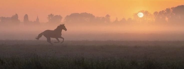 "Yola çıkarken
evden hiç ayrılmamışlardan akıl alma"