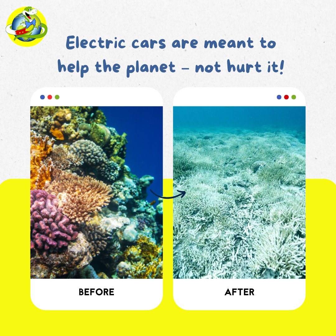 They call it the Amazon of the Seas but it’s being wrecked to dig up metal for electric cars. Forests gone. Reefs muddy. Fish in danger. Electric cars should help the Earth – not hurt it. 🌎 Let’sss protect all nature. Jake x bbc.co.uk/news/articles/…  #coral #protectcoral #tesla