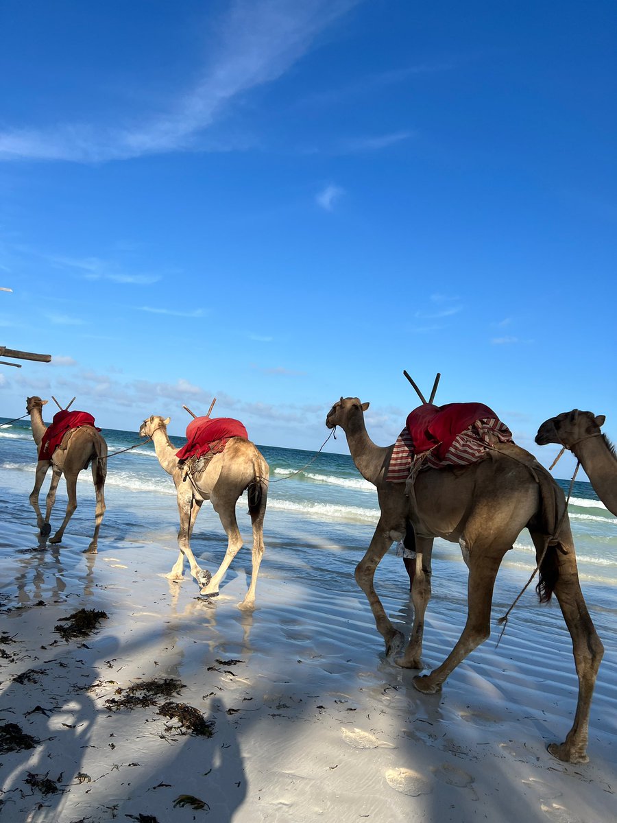 منيرة| Moonira tweet media