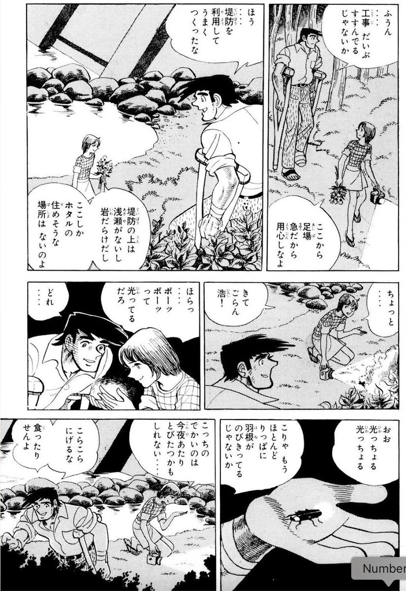 ホタルの光を守り続ける女の子に恋をした話。(1/6) 
