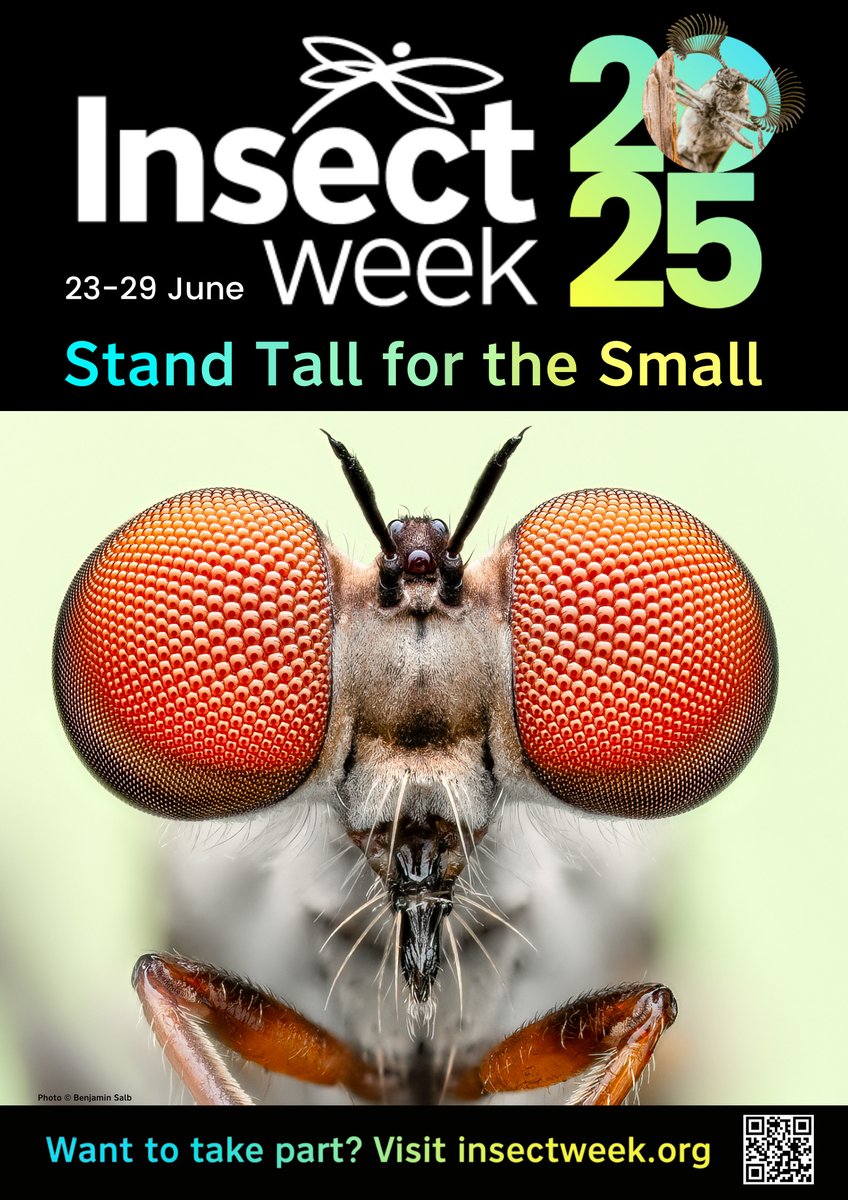 It's #InsectWeek!

Why not celebrate by reading the latest @RoyentSoc journals' #VirtualIssue on #InsectDecline and #Conservation?

It's full of new research collected from the seven journals, by some of those who #StandTallForTheSmall.

ow.ly/pG9e50Wgz2U

<a href="/WileyEcolEvol/">Wiley Ecology & Evolution</a>