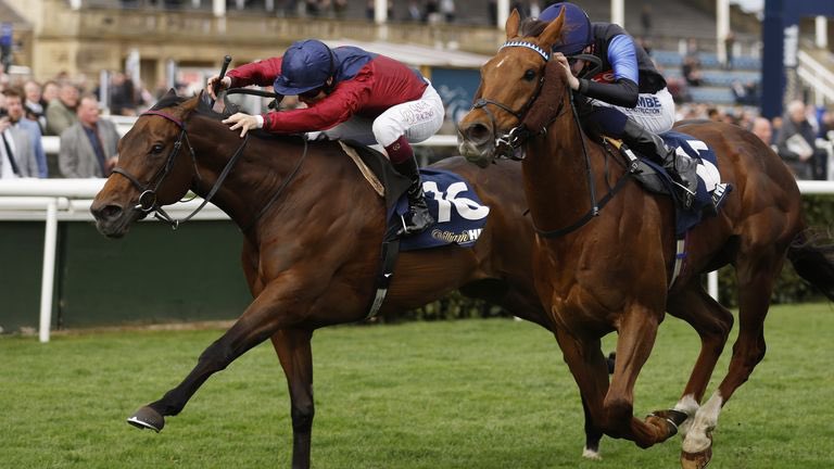 Big Balls Nags 🐎 tweet media