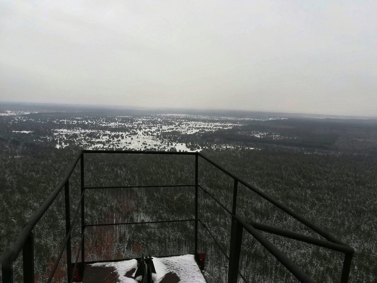 Jacson A Felts pi tweet media