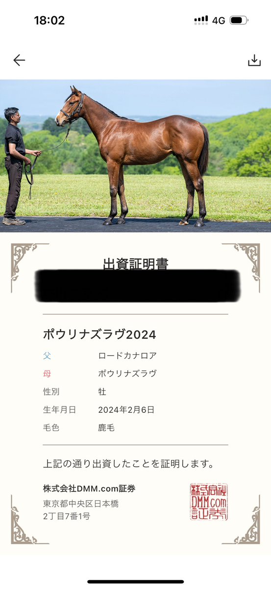 PAYペイ tweet media