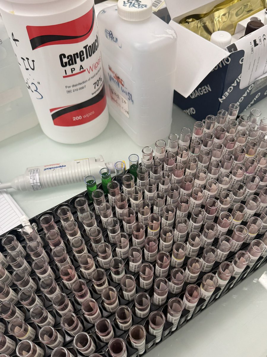 _RaoomAb's tweet photo. 6th rotation | serology 🧪✅ https://t.co/5rfgPXxQ4x
