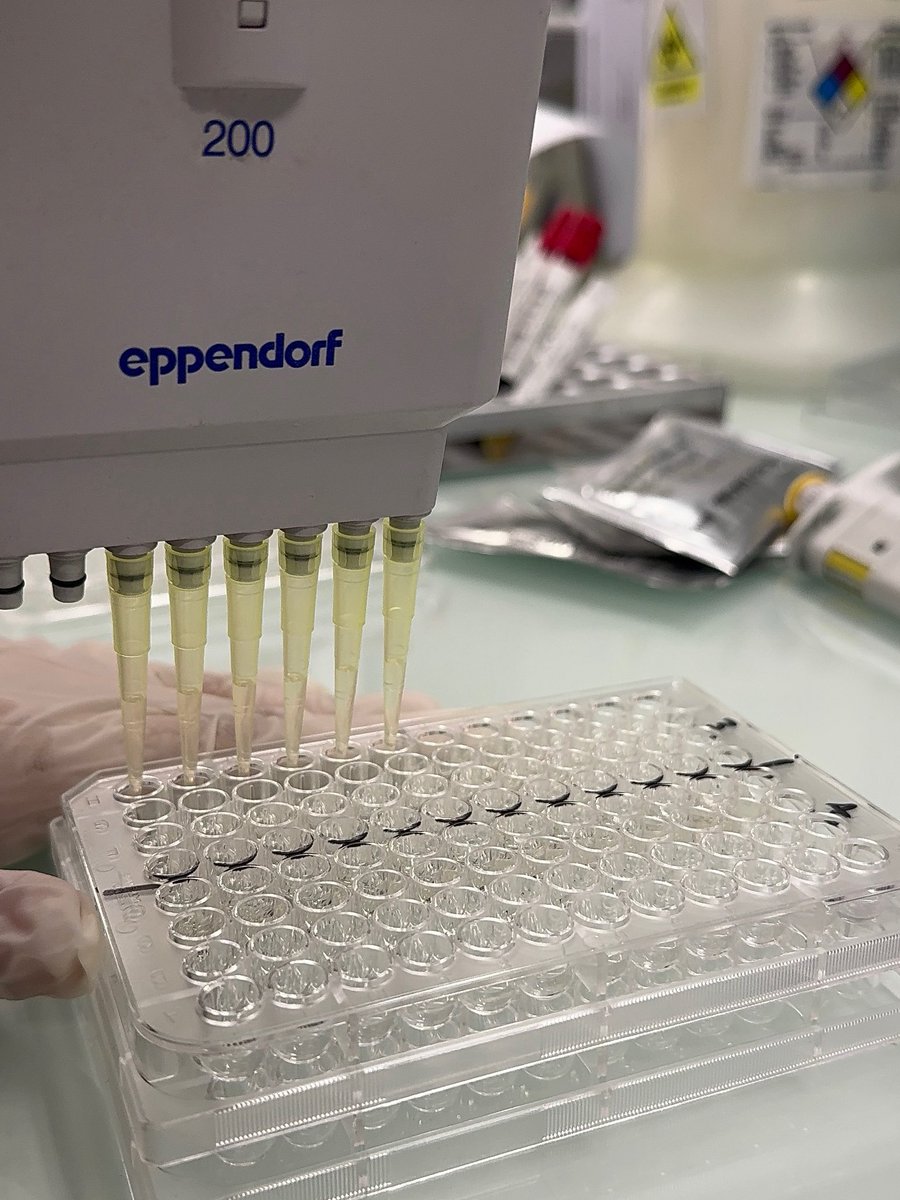 _RaoomAb's tweet photo. 6th rotation | serology 🧪✅ https://t.co/5rfgPXxQ4x