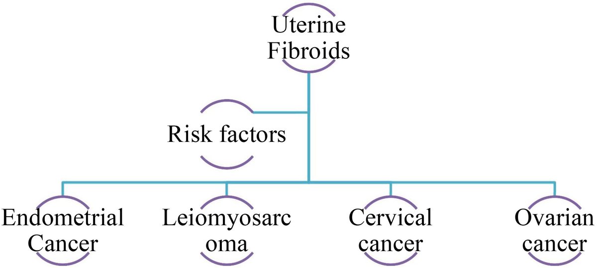 🔬 Are Uterine Fibroids Linked to Cancer?

A new review explores genetic, epigenetic, and hormonal mechanisms behind fibroids, and their possible connection to cancers like leiomyosarcoma and endometrial cancer. Early diagnosis, biomarkers, and patient education are key to better