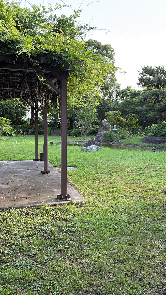 地元の温泉にて、前から身体に良いと聞いていた肛門浴をイチローのストレッチの振りしてやってみた。
益々健康になっちゃうなぁ