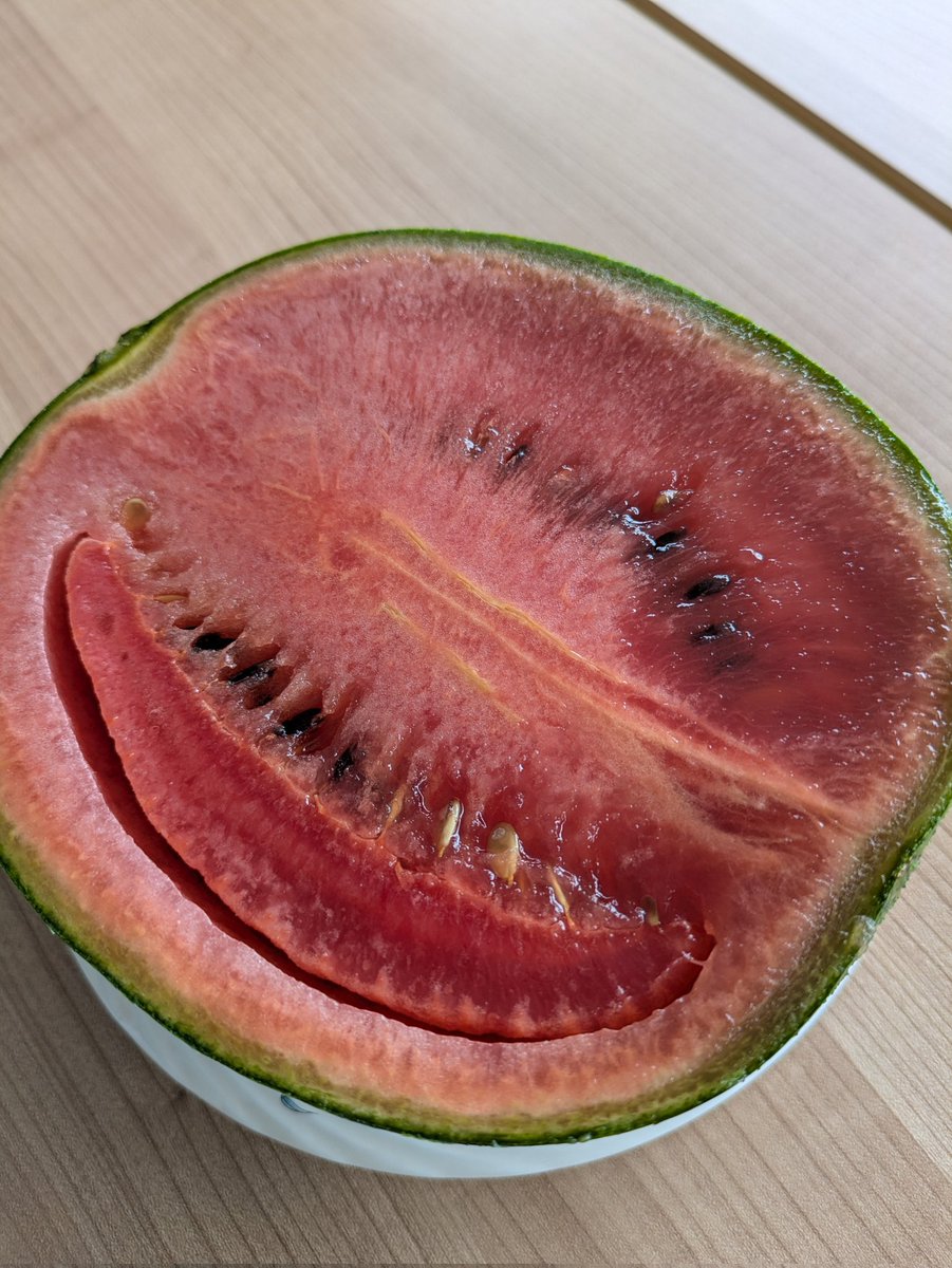過熟スイカと言ってもイメージ付きづらいと思いますが… 切るとこんな 