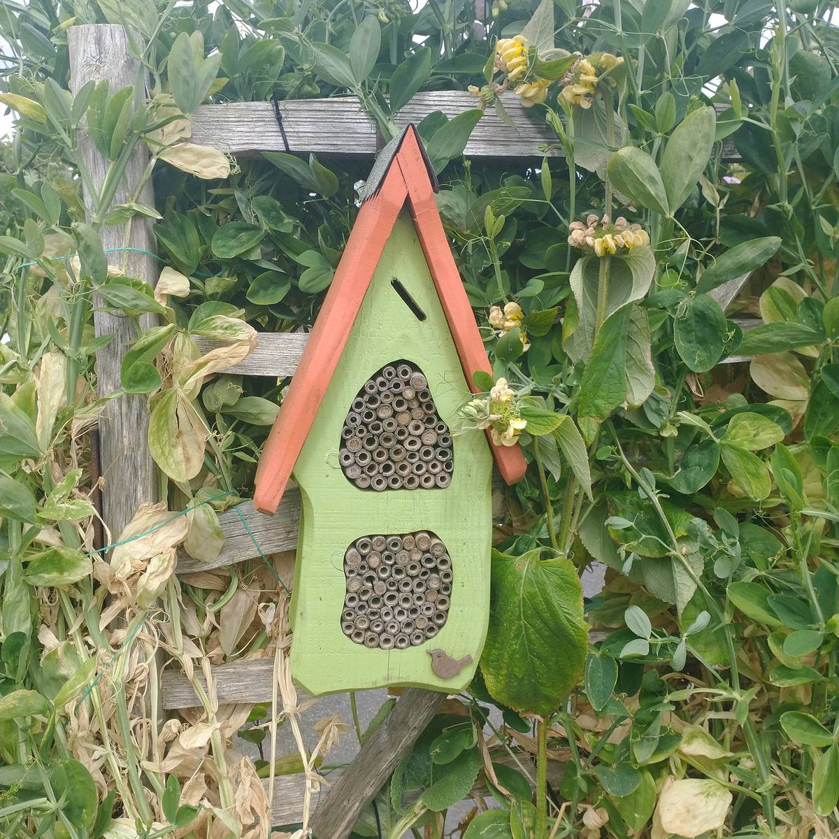 Visiting us this #insectweek? 🪲🐛🐞🐜🕷️🦋🐝Look out for the many bug hotels &amp; wildlife ponds around the park - we'd love you to share what you spot with us! #insects #bughotel #tropicalbutterflyhouse