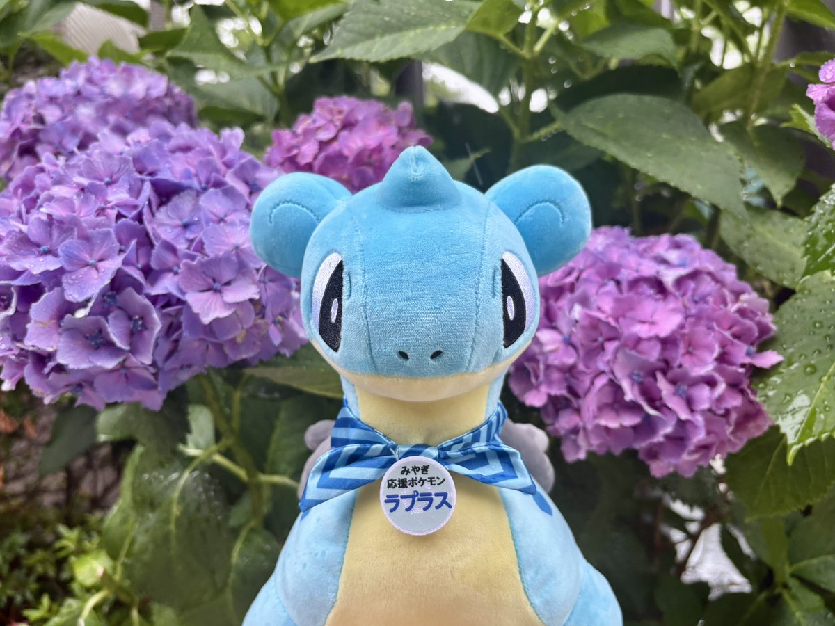 ぷかぷかラプラス ポケモンセンター 宮城巡り 当選品 ぷかぷか