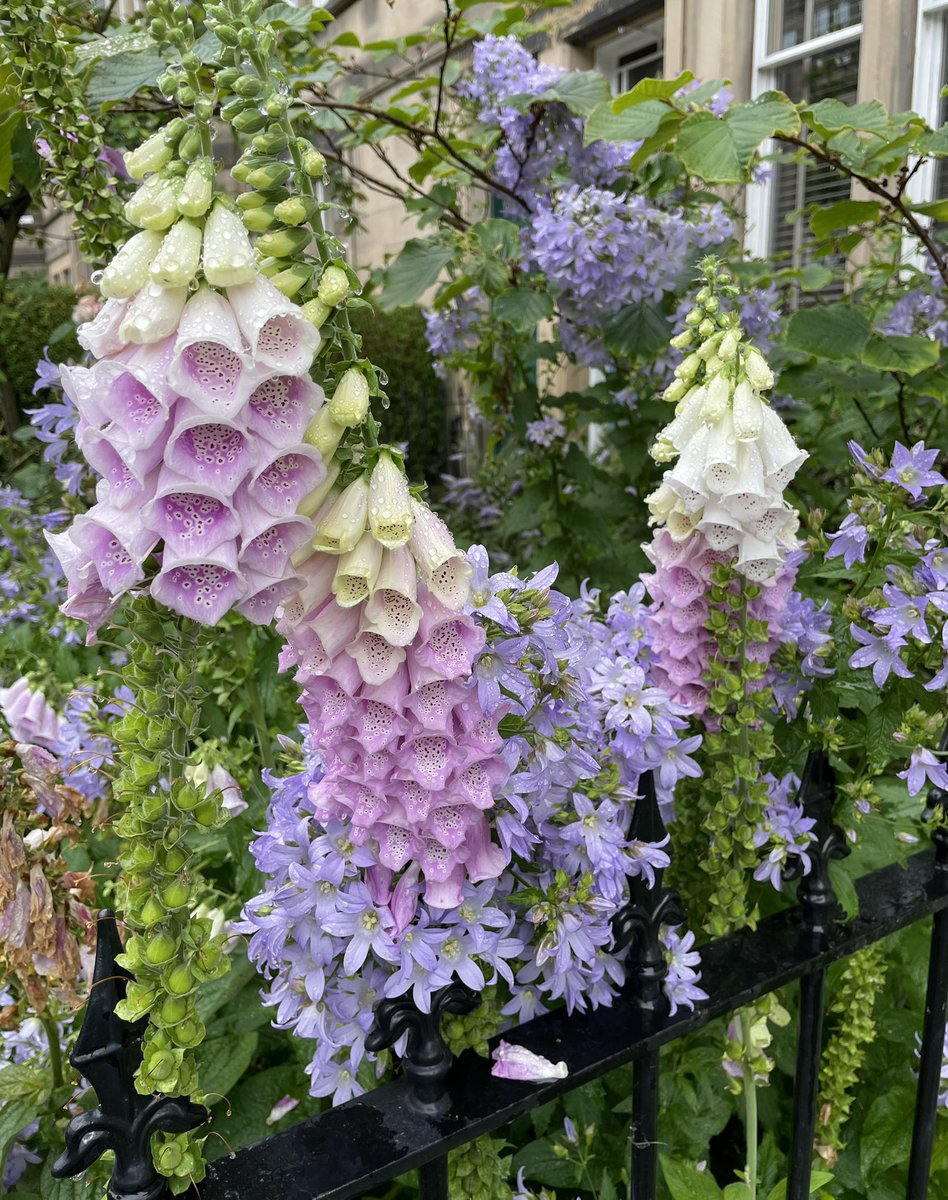 Jon Burke 🌍 tweet media