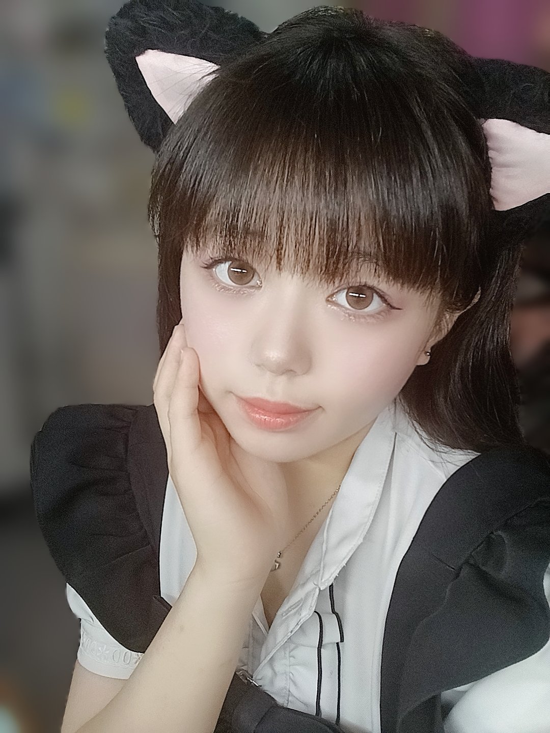 ♡Grin♡あそんでワンワン STORES ぬいぐるみの検索結果