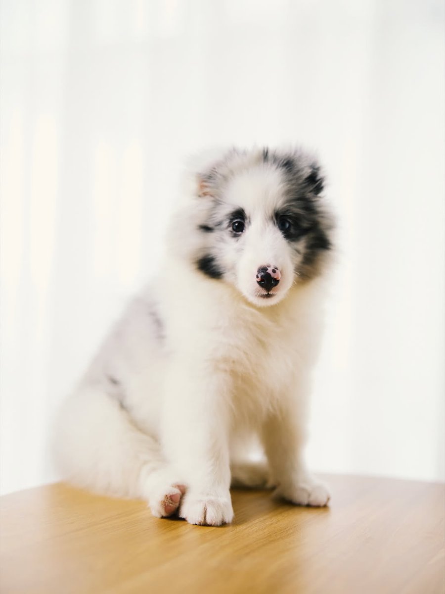 เอาจริงๆปะ ชีโคตรลูกดาราอะ ใครจะถ่ายชีก็นั่งให้ถ่าย ไม่พอนะ แถมนั่งเจี่ยมเจี๊ยมยิ้มให้ด้วย555555555555555554555555555555555555555