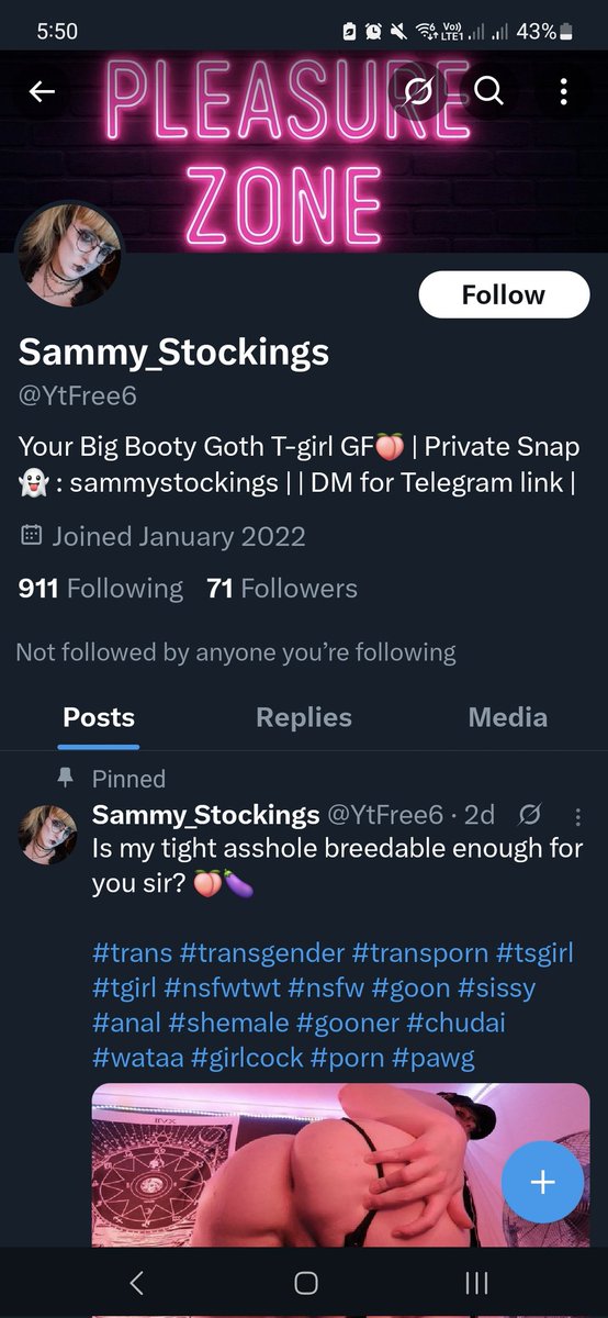 Sammy Stocking ($7 OF) (@sammy_stocking) on Twitter photo My loyal subjects, go report this bozo. My loyal subjects, go report this bozo.