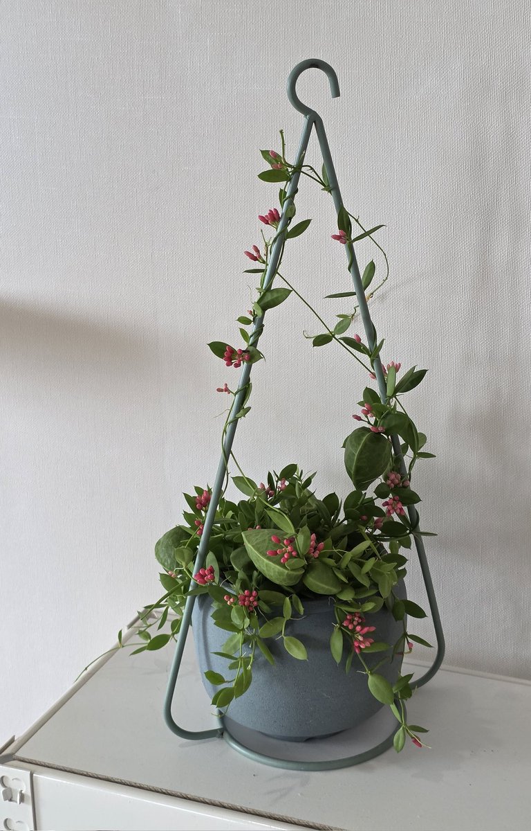 왜 뒤가 더예쁘냐고 ㅠㅠ