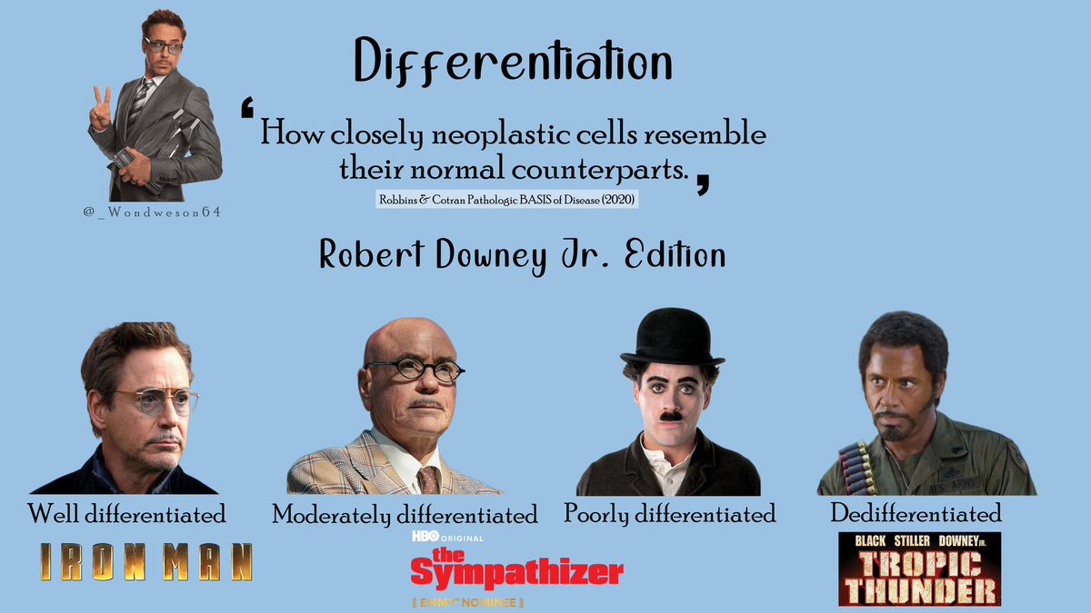 _Wondweson64's tweet photo. Neoplasia | Robert Downey Jr. Ed.
#pathmeme #pathtweet #pathology #neoplasia #pathx https://t.co/uPucJRq0Er