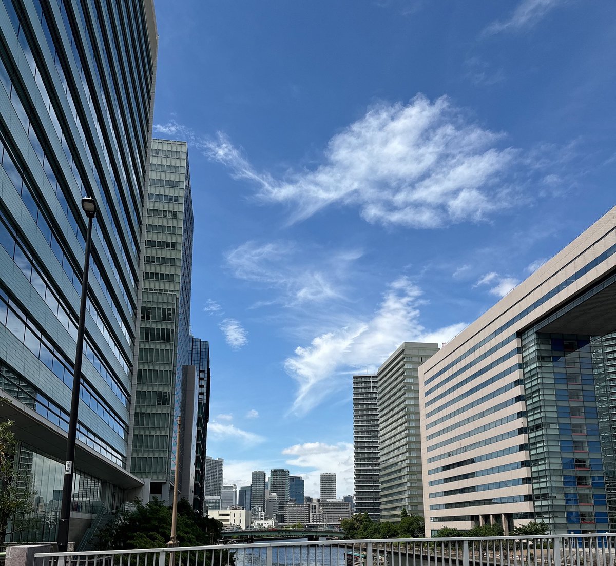 夏の景観になってきた
久々に📸で撮りに行きたい。

いろいろ落ち着いたら。