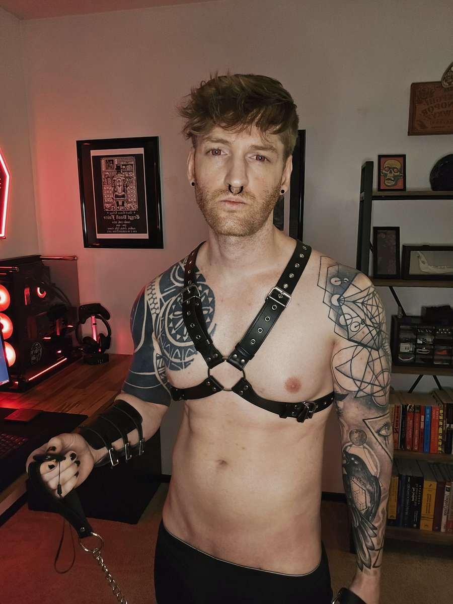 SutterNutter's tweet photo. My sub got off their leash again. Can anyone help me find them? #altstar #altporn #bdsm https://t.co/F8mi5RUXO0