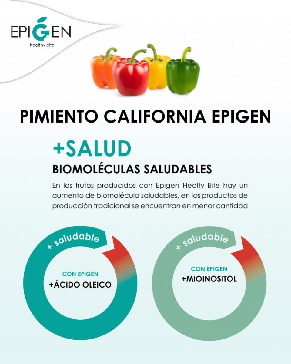 👉 En los frutos producidos con el método #EpigenHealthyBite hay un aumento de biomoléculas #saludables, en los de producción tradicional estas biomoléculas se encuentran en menor cantidad.

#Salud en cada bocado ❤️

#agriculturaregenerativa