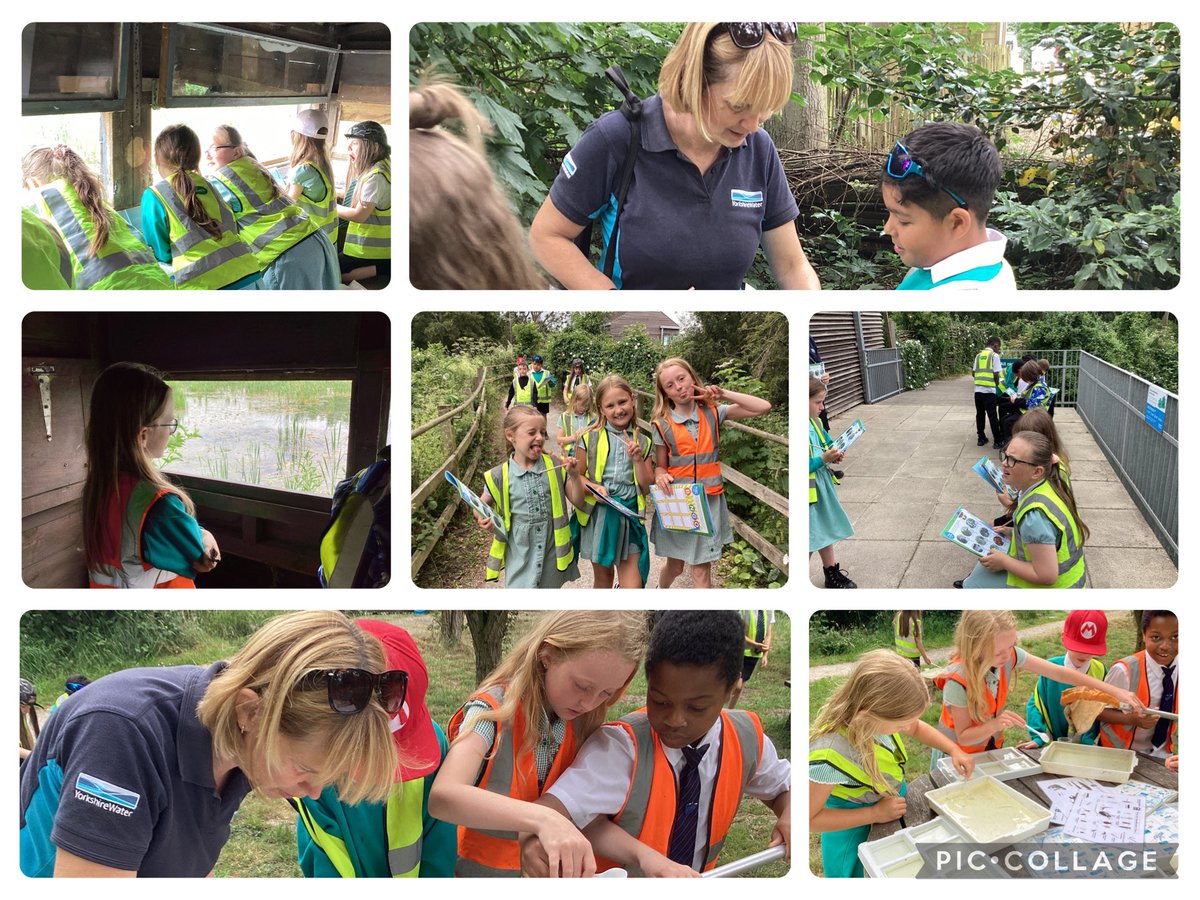 ThomasHinPri's tweet photo. Year 4 absolutely loved their trip to Tophill Low Nature Reserve Yesterday! What a great time learning about conservationism and Ecology! @tophilllow #enrichment https://t.co/7vZLqY7mEk
