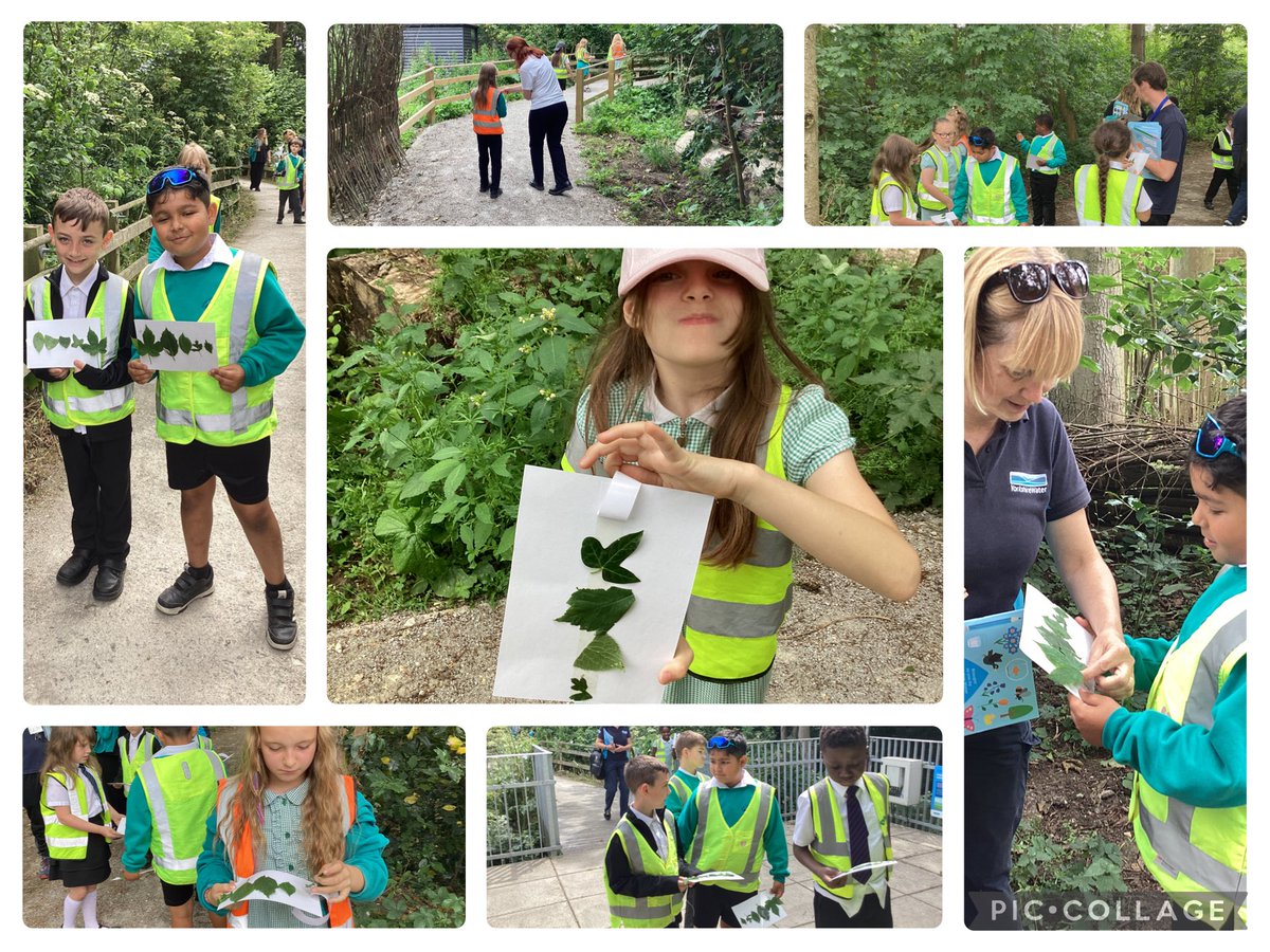 ThomasHinPri's tweet photo. Year 4 absolutely loved their trip to Tophill Low Nature Reserve Yesterday! What a great time learning about conservationism and Ecology! @tophilllow #enrichment https://t.co/7vZLqY7mEk