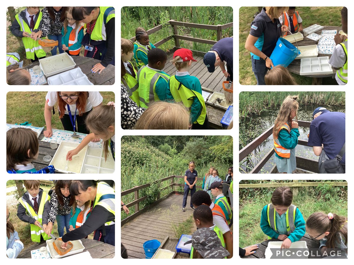 ThomasHinPri's tweet photo. Year 4 absolutely loved their trip to Tophill Low Nature Reserve Yesterday! What a great time learning about conservationism and Ecology! @tophilllow #enrichment https://t.co/7vZLqY7mEk
