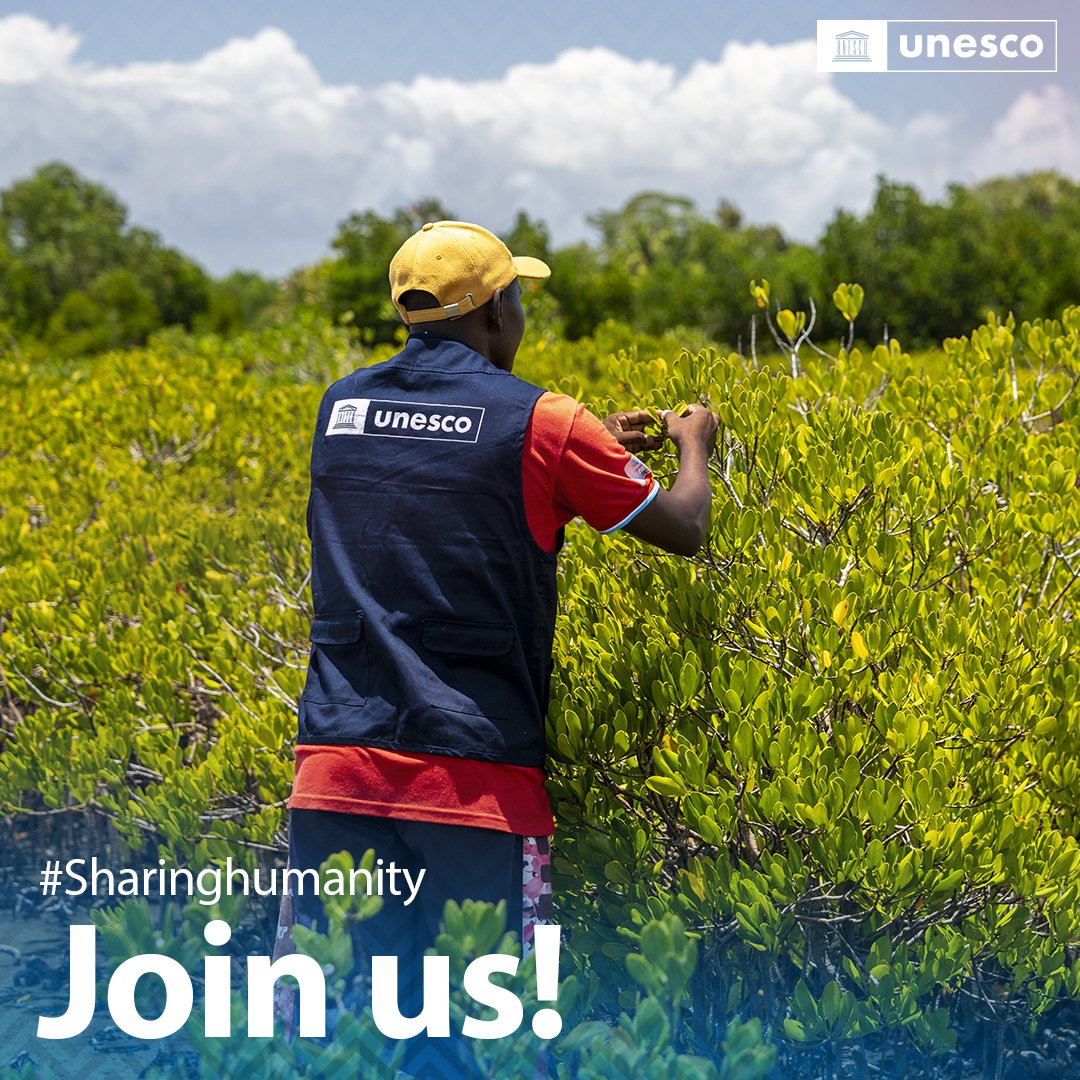 unescoROSA's tweet photo. 📢 Job Alert!

@UNESCO is hiring a Communications Officer (Education for Health and Well-being) in Lilongwe, Malawi.

Are you passionate about advocacy, storytelling &amp; public health comms?

🗓️Apply by: 11 July 2025
🖱️Role Open to Malawians
🔗Apply here: https://t.co/aDVcduTycR https://t.co/cHPqZoJJPF