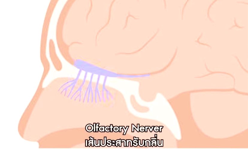 อ่านดี มีสาระ ❄️ tweet media