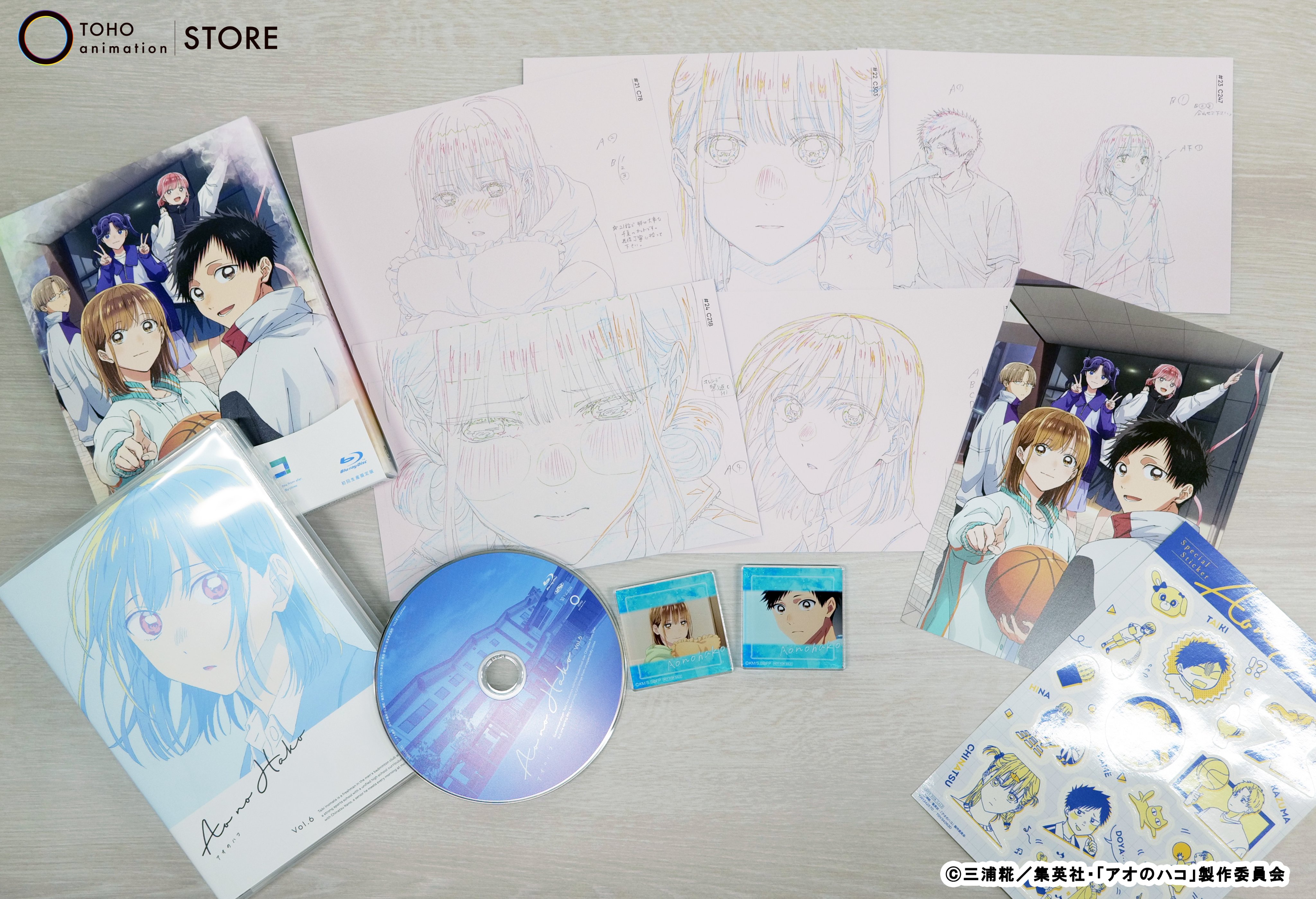 アオのハコ DVD6巻 TOHO特典 アクリルパネル 缶バッジ 鹿野千夏