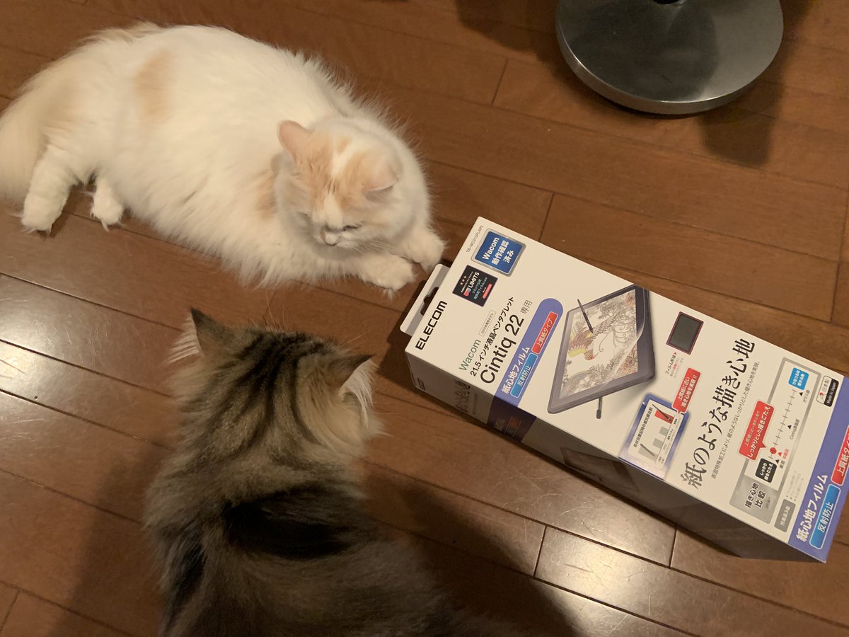 ペーパーライクフイルムを貼り替えました✨今までで一番上手に貼れたかも…✨(⇽慣れただけです😂)
すぐ真ん中だけツルってしまうんですよね。やっぱりザラザラが描きやすくて好きです🖥