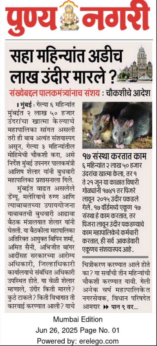 सहा महिन्यांत अडीच लाख उंदीर मारले? चौकशीचे आदेश 

#AshishShelar