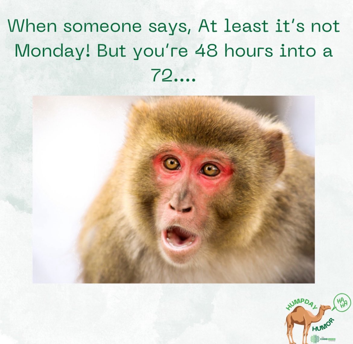 Buddy, every day is a Monday when you're 2 days deep in a 72-hour shift.  #humpdayhumor