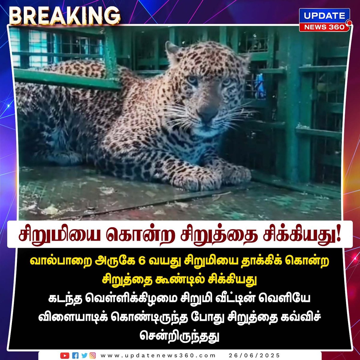 updatenewstamil's tweet photo. வால்பாறையில் சிறுமியை கொன்ற சிறுத்தை கூண்டில் சிக்கியது...!!!
#UpdateNews | #Valparai | #leopardattack | #Caughted | #LatestNews | #TodayTamilNews | #UpdateNews360 https://t.co/XTYonWMkBO
