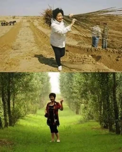 她叫易解放，20年种了200万棵树。
BBC：她在蚕食沙漠，她在强迫200万棵树活着。