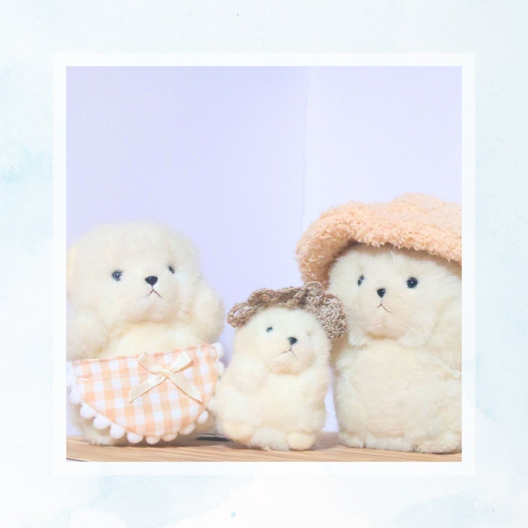 #ぬい撮り
わが家のたけのこしろくま集合写真