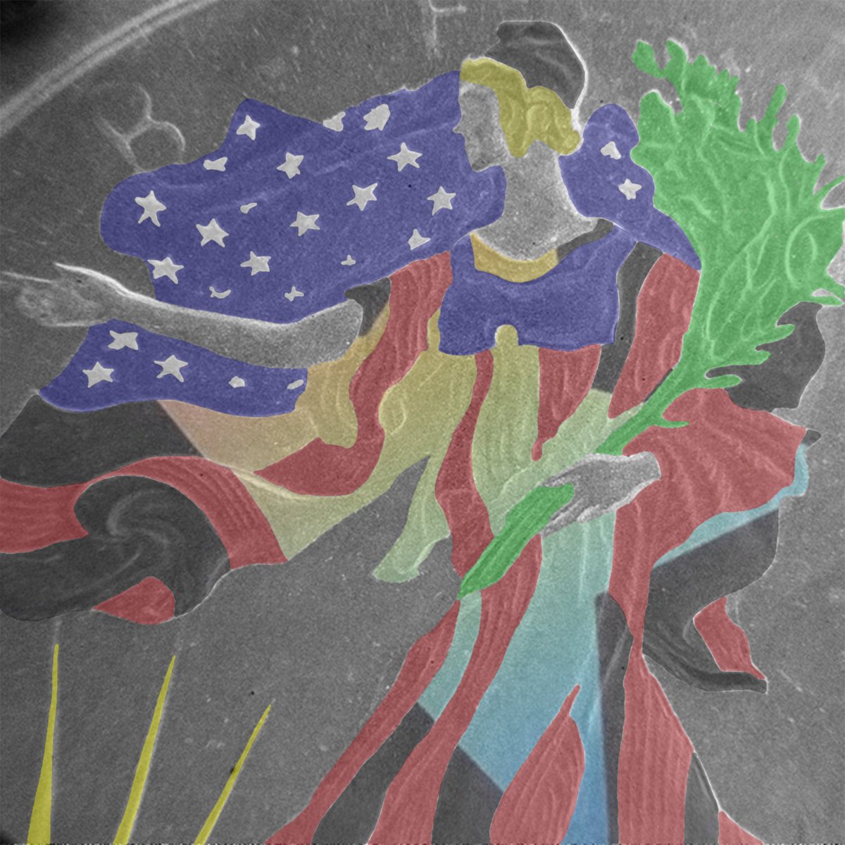 Holding true to the Red, STARS, and Blue