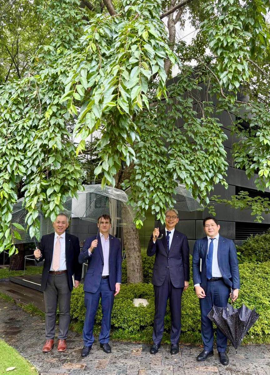 住友林業の皆様を、大使館庭園で元気に育つ枝垂桜にご案内。同社から2014年に寄贈いただきました。オーストラリアで成長する不動産、林業の事業についてよい意見交換ができました。