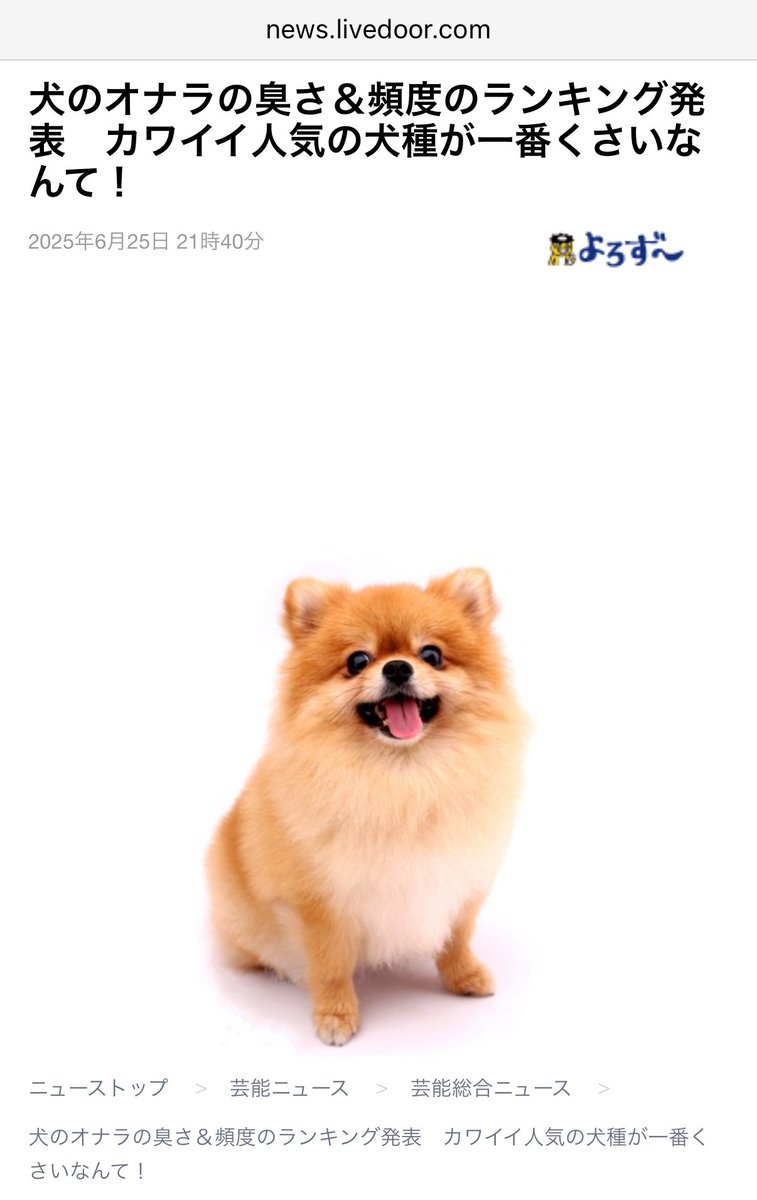 臭い 犬 ランキング