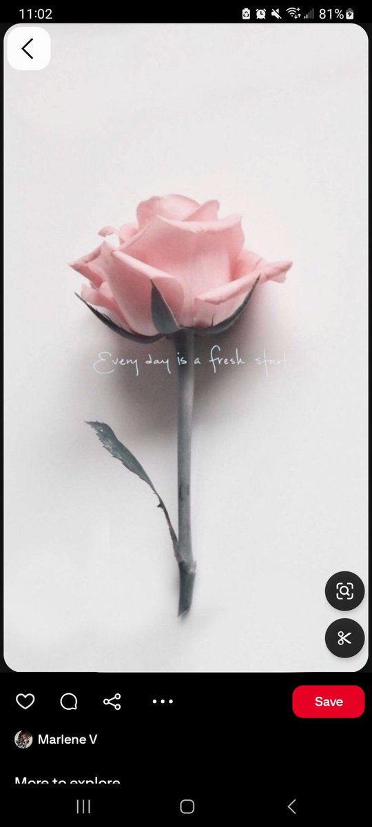 Goodnight, tomorrow is a new day