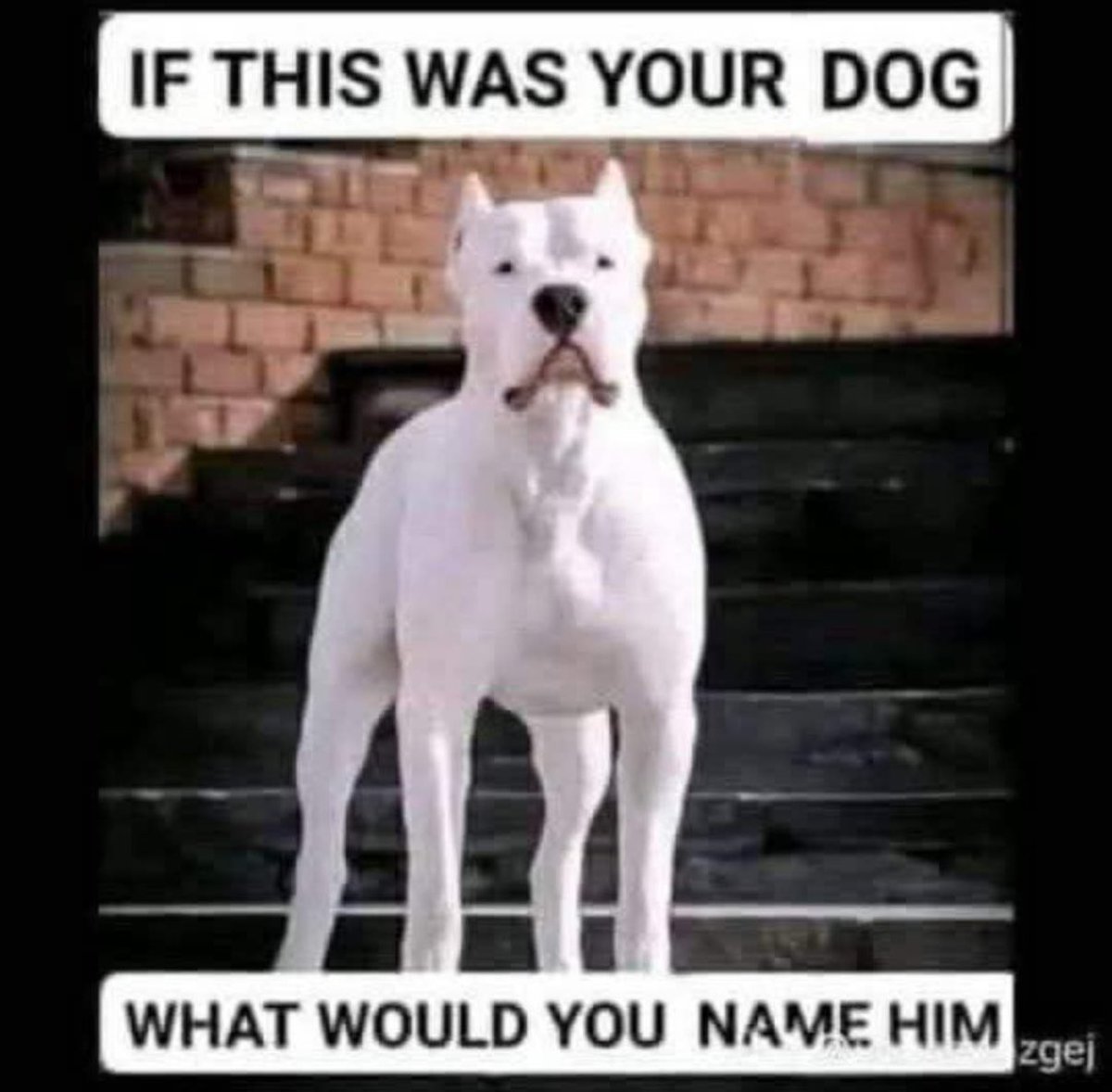 Myrna 𝕏 tweet media