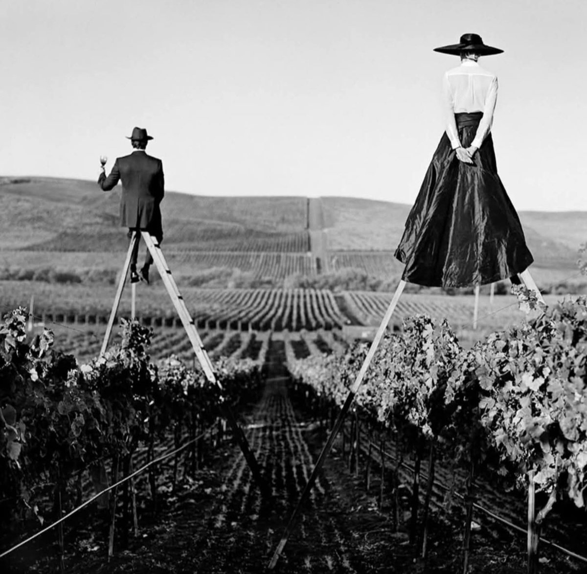 Réussiriez-vous votre bac œnoculturel ?

les5duvin.wordpress.com/2025/06/26/reu…