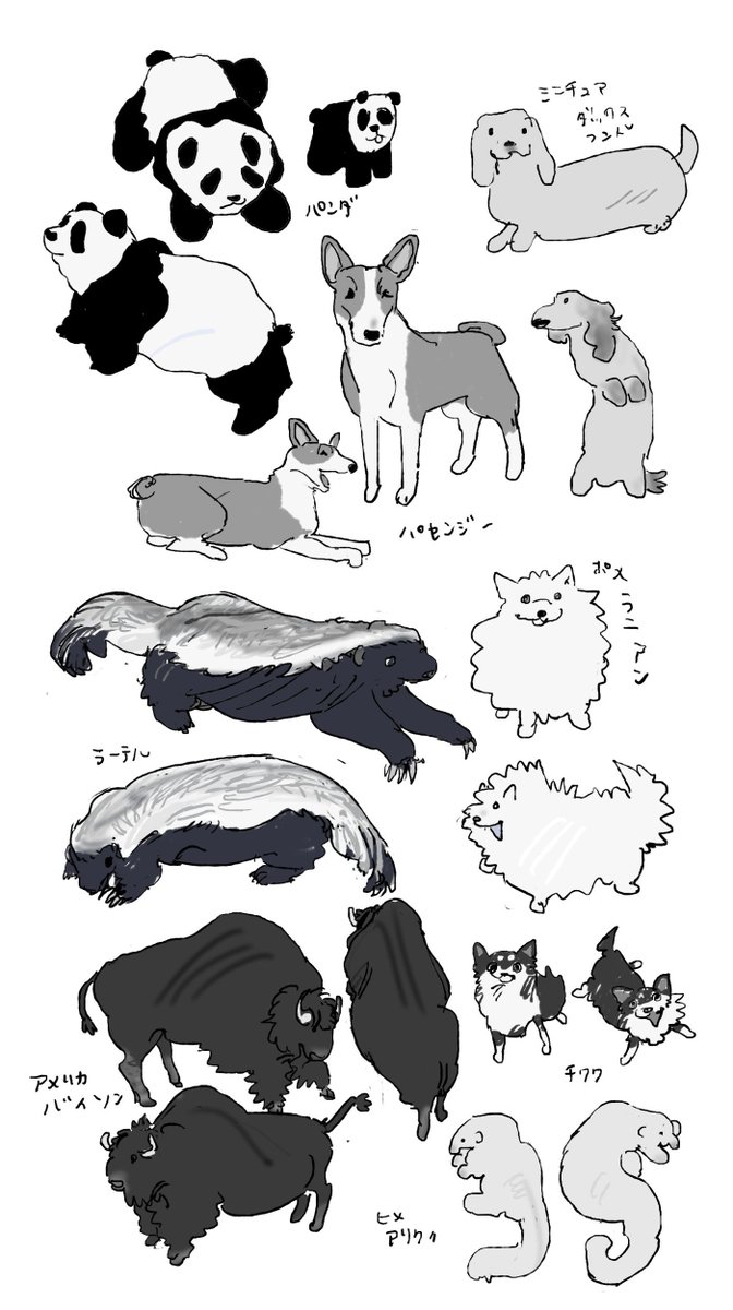 過去の練習です