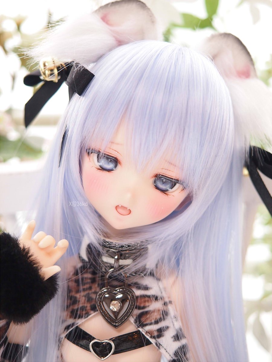 DDH-10 セミホワイト：カスタムヘッド+アイ ※難あり [chatora]
auctions.yahoo.co.jp/seller/janeinym