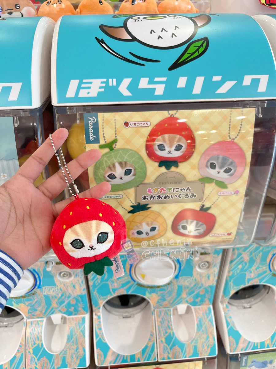 cfhenin's tweet photo. hii guys ada yang mau gacha mofusand doll keychain inii? bersih ina 80K ╰(*´︶`*)╯♡

no tax ems! eta ina 25 july by hc 🍎 order DM yaah!! 🍏 https://t.co/SmkExgTnDd